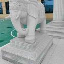 镇江 白麻花岗岩动物异形石雕-大象