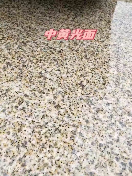 镇江黄金麻中黄光面